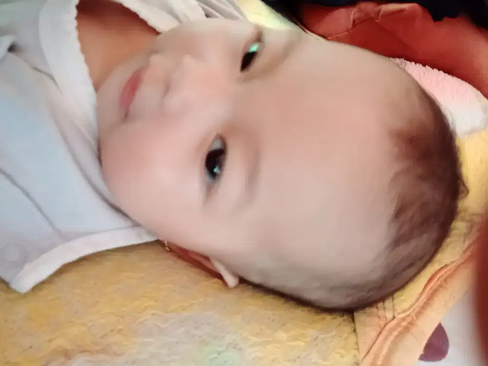 Baby sister untuk bayi 8 bulan