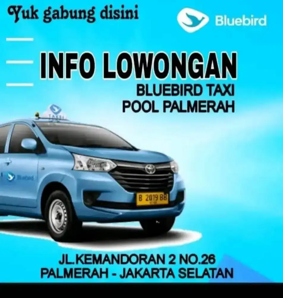 Lowongan supir driver pengemudi taksi blue bird