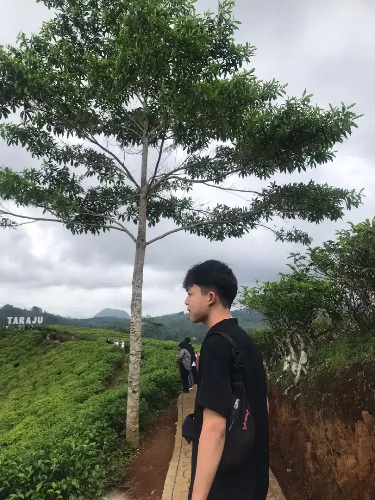 Mencari pekerjaan
