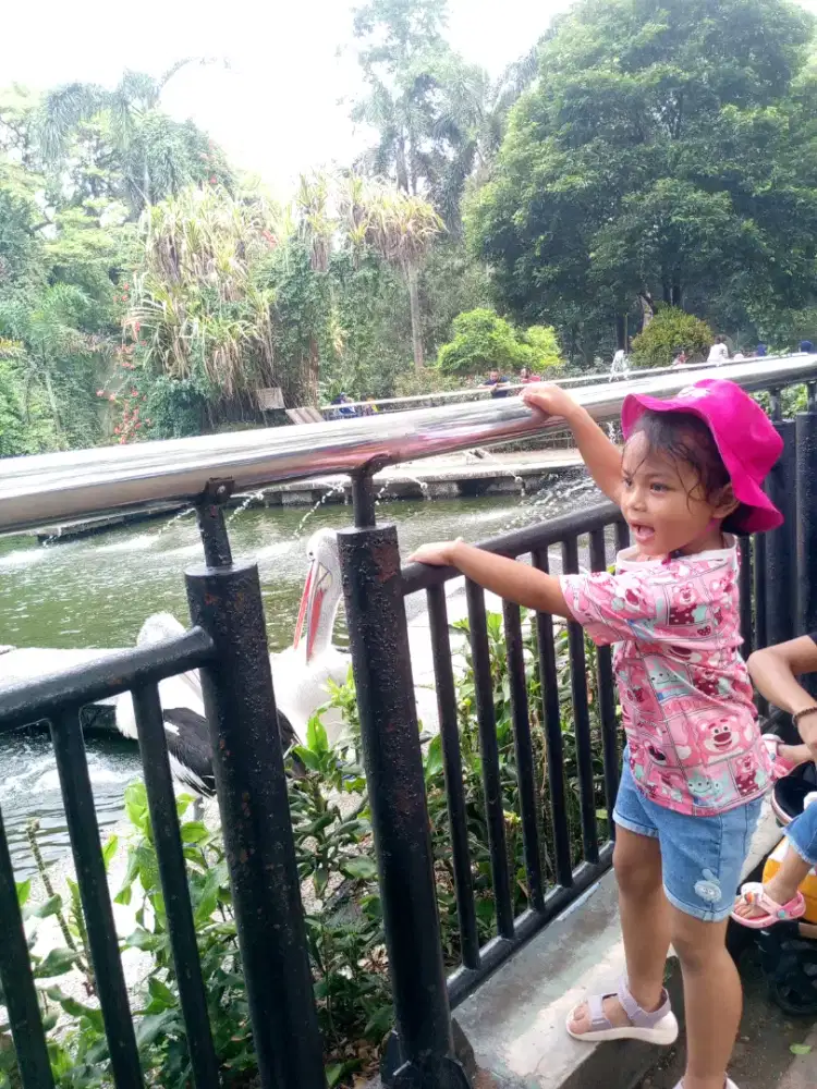 Mengasuh anak umur 5 tahun