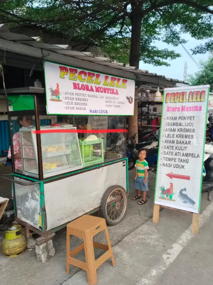 Di butuhkan pria yang berpengalaman di warung pecel ayam dan lele