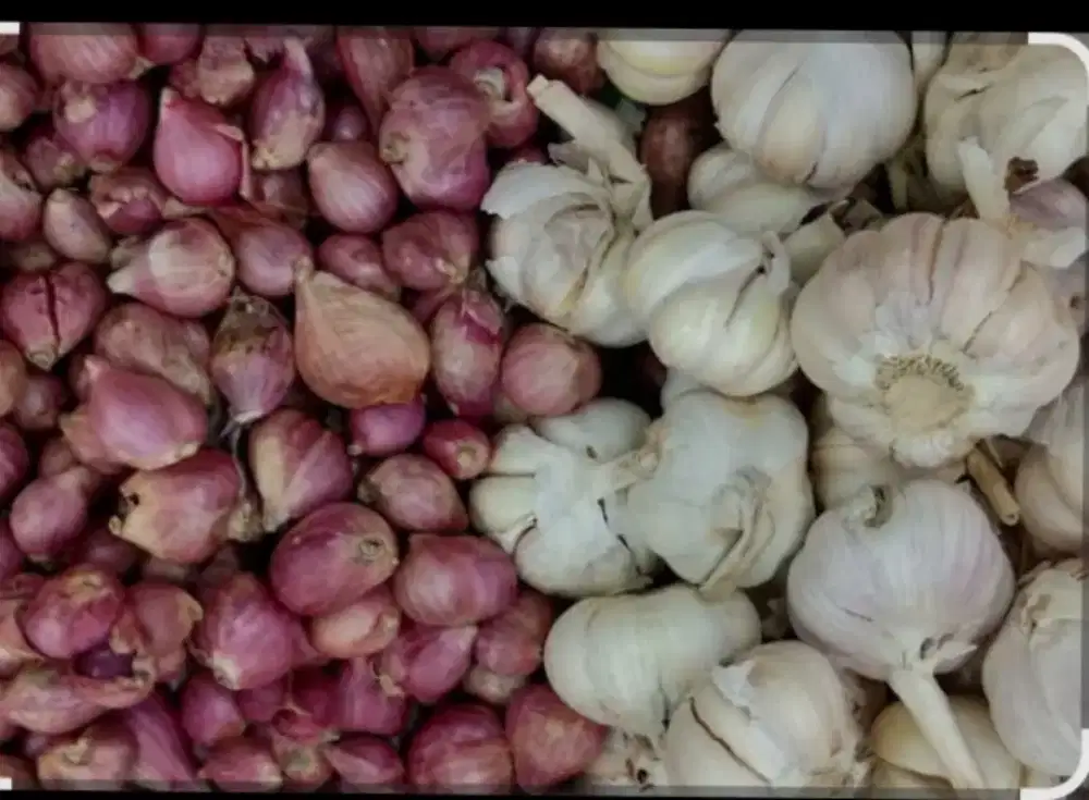 Jasa kupas bawang