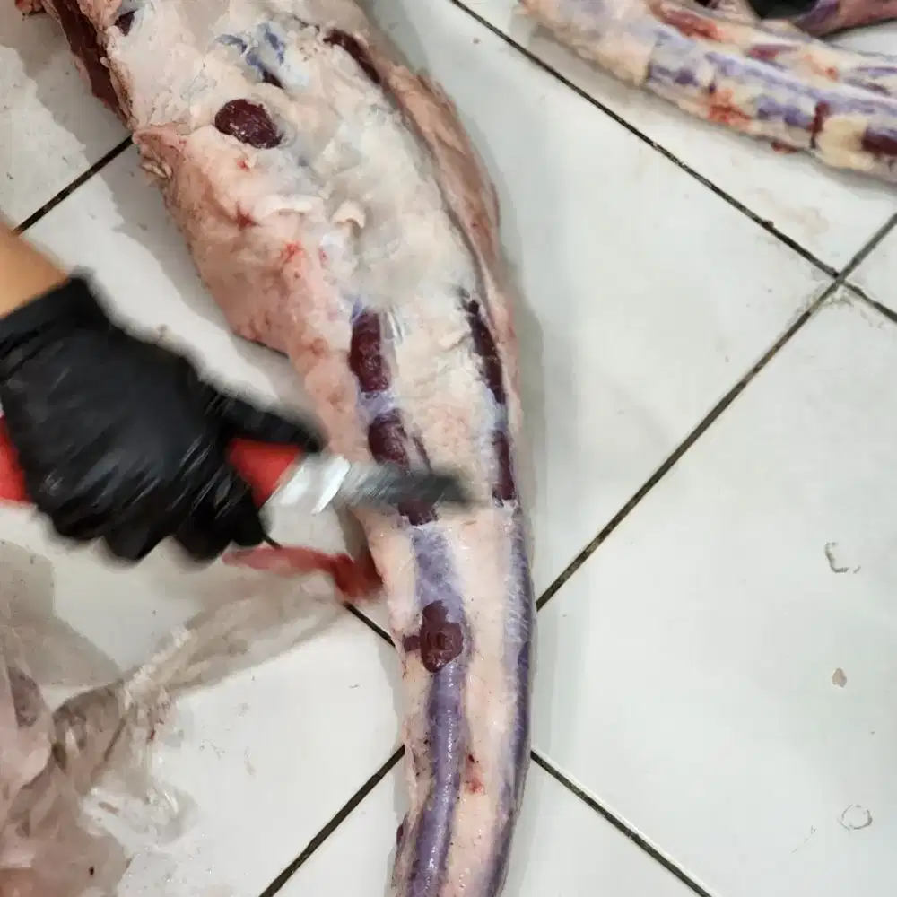Karyawan utk ruang produksi daging
