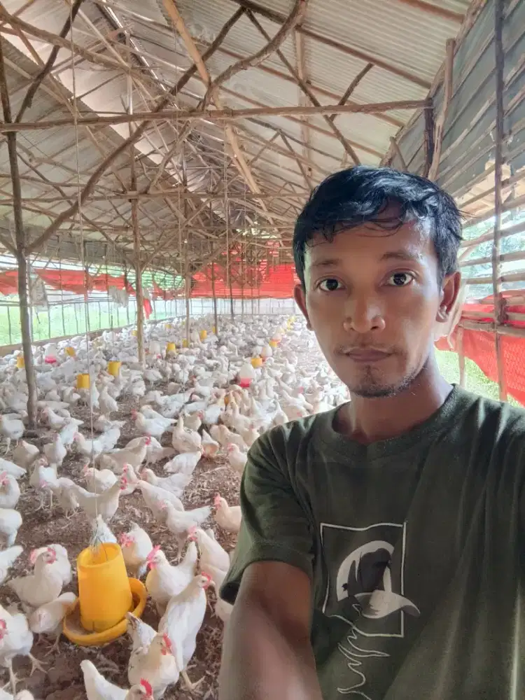Mencari pekerjaan