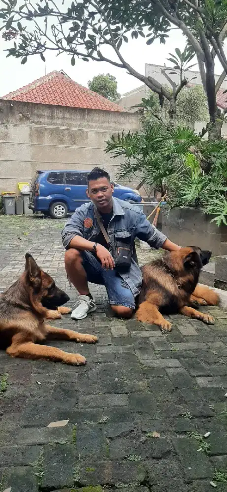 Mencari pekerjaan apa saja.