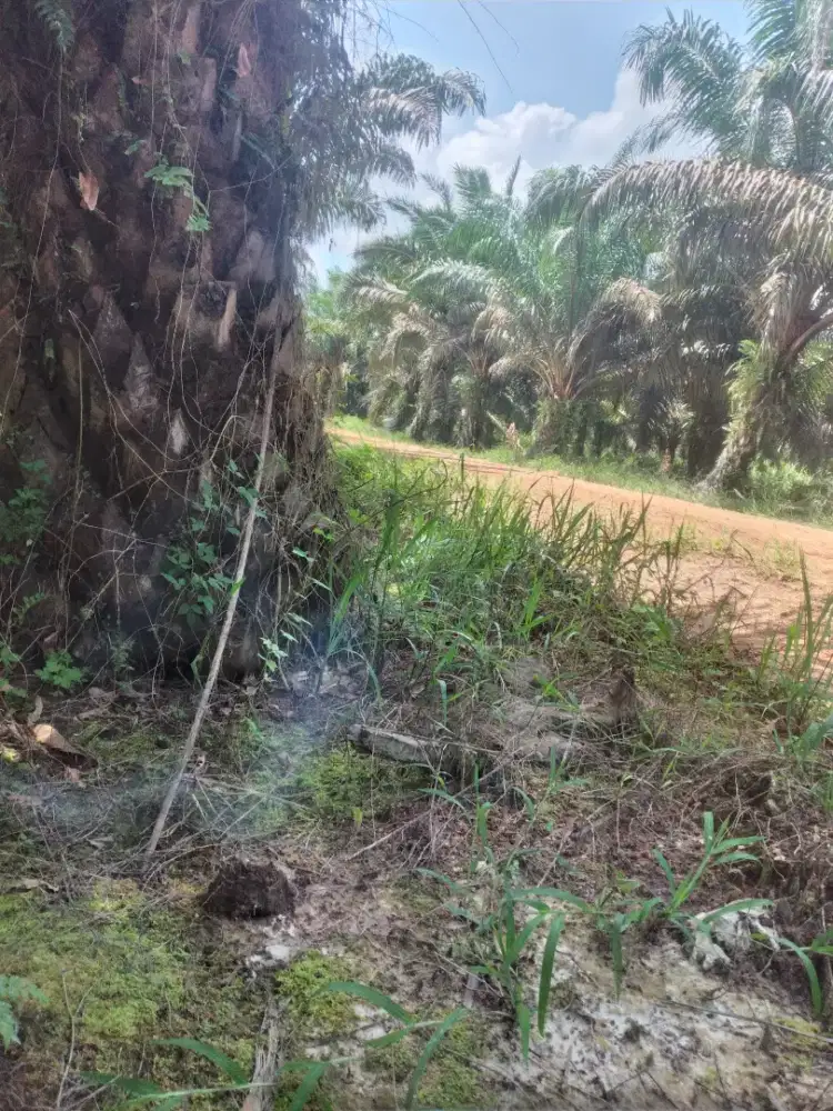 Di buka lowongan kerjq