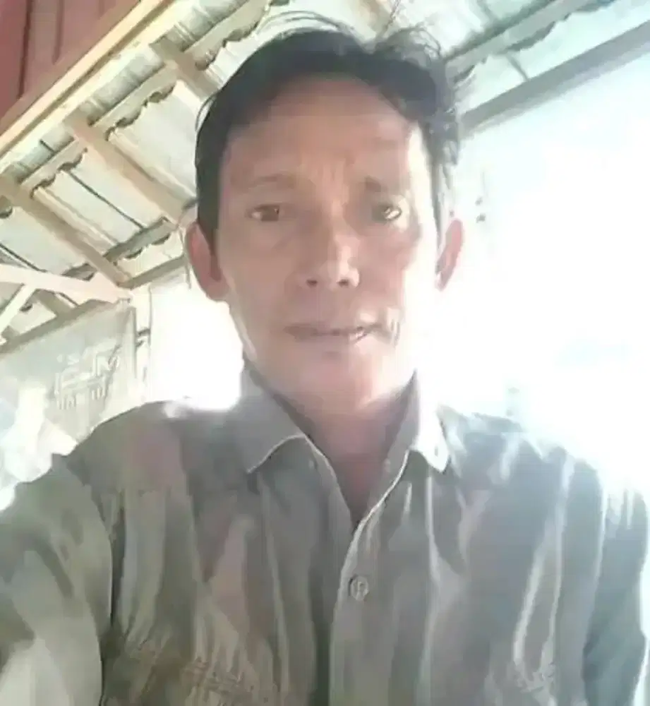 Apakah ada yang mmbutuhkan sopir pribadi.
