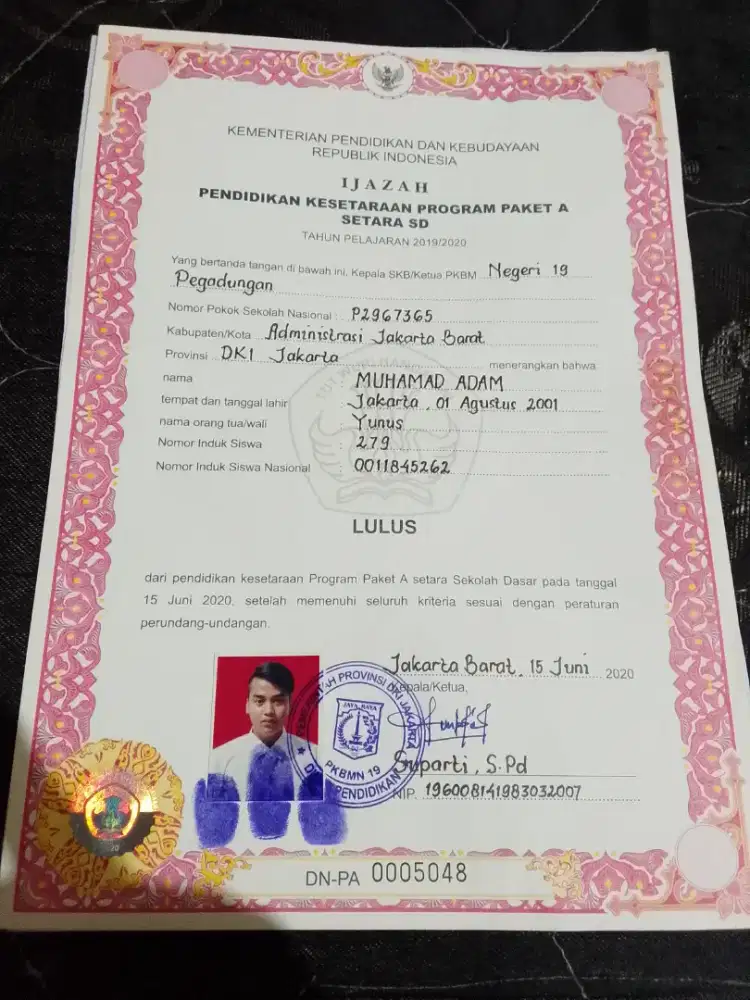 Cari kerja pengalaman Pecking