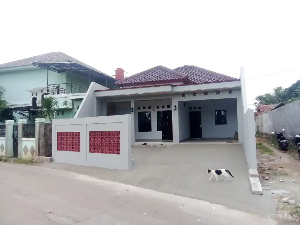 Tukang borong bangun rumah, renovasi, kanopi, plavon dll
