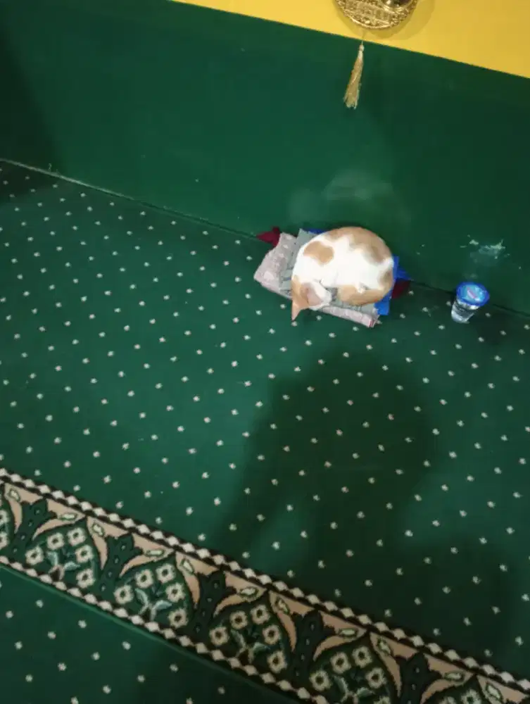 Ada loker ya kah tapi maaf Ulun cacat..