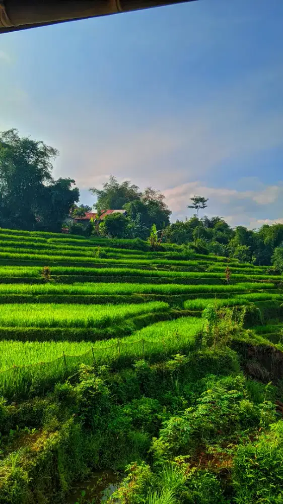 Cari lowongan kerja