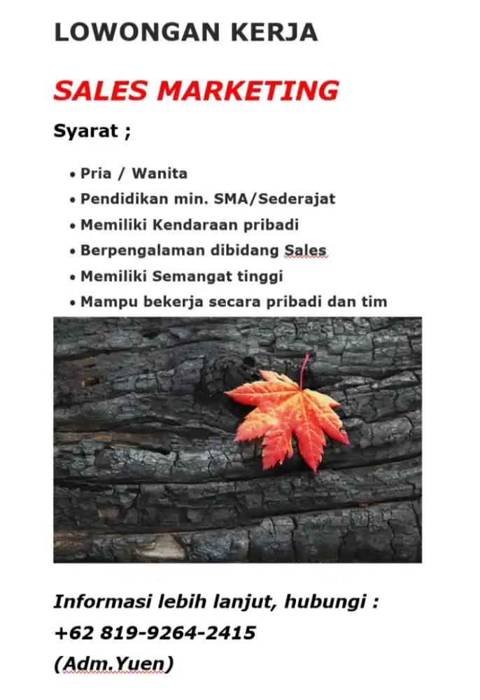Sales marketing