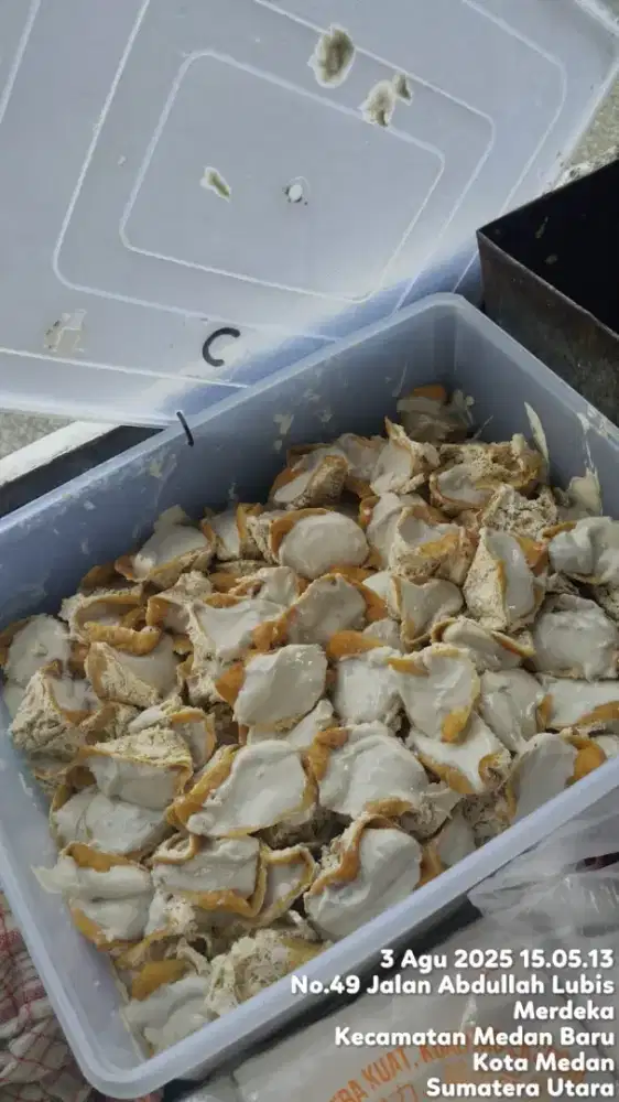 JUALAN TAHU WALIK
