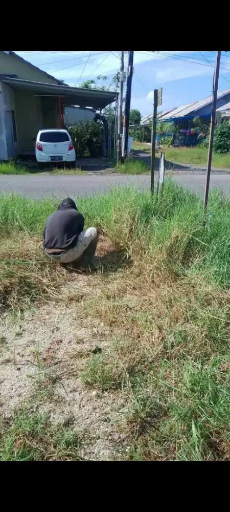 Tukang rumput serabotan
