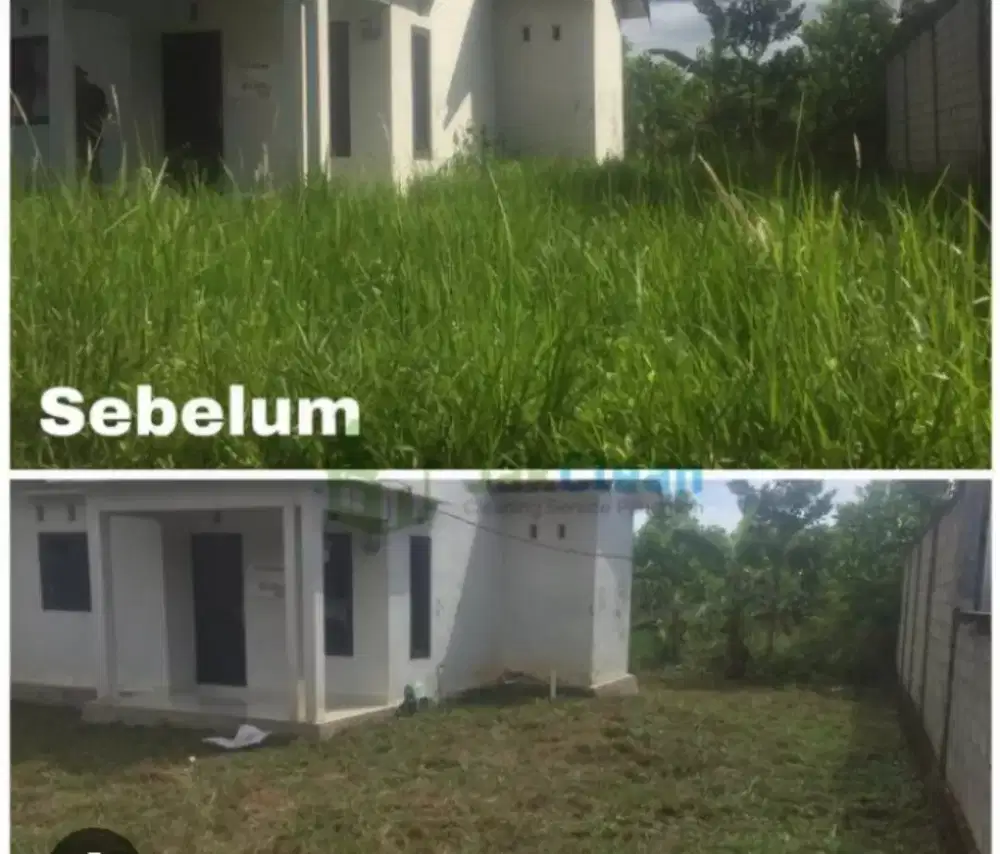 Terima pemotongan rumput