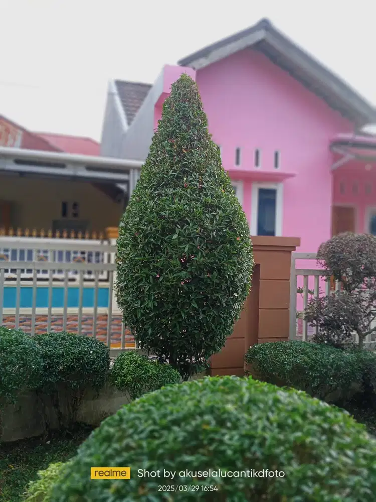 jasa perawatan taman dan cuci toren. simpang panorama alam indah