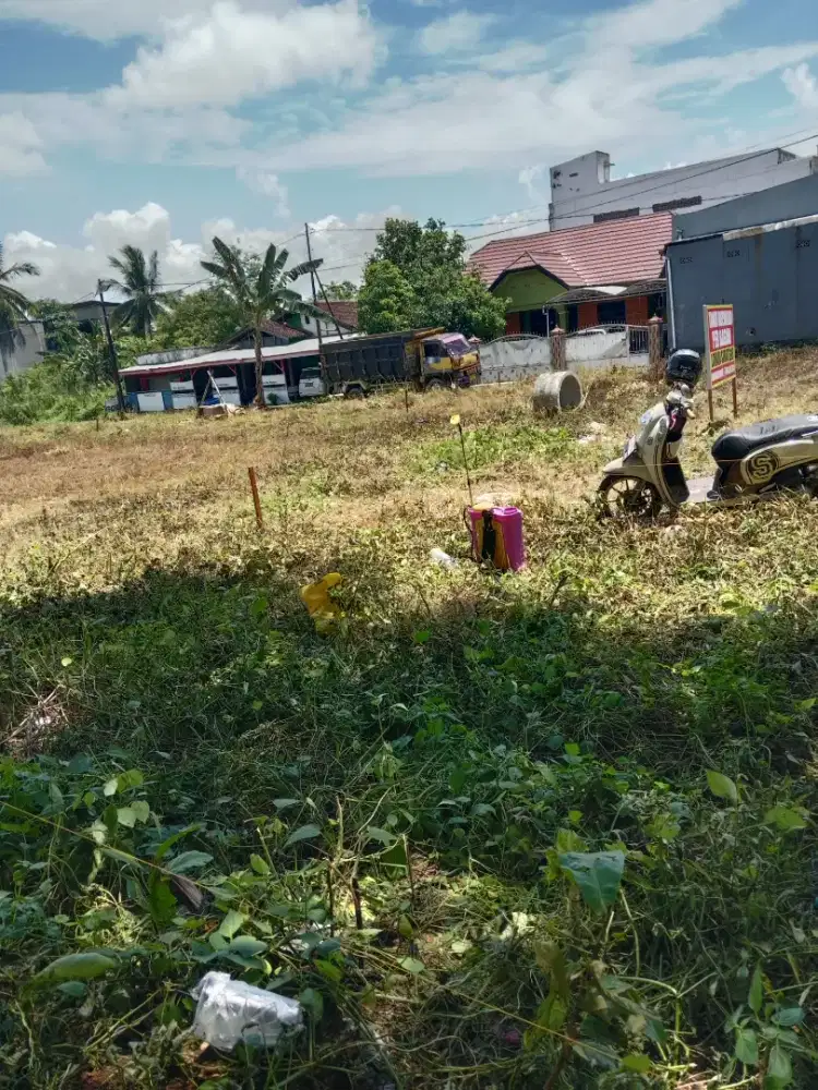 Jasa potong rumput atau tebang pohon