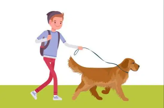Dog Walker For All Breed