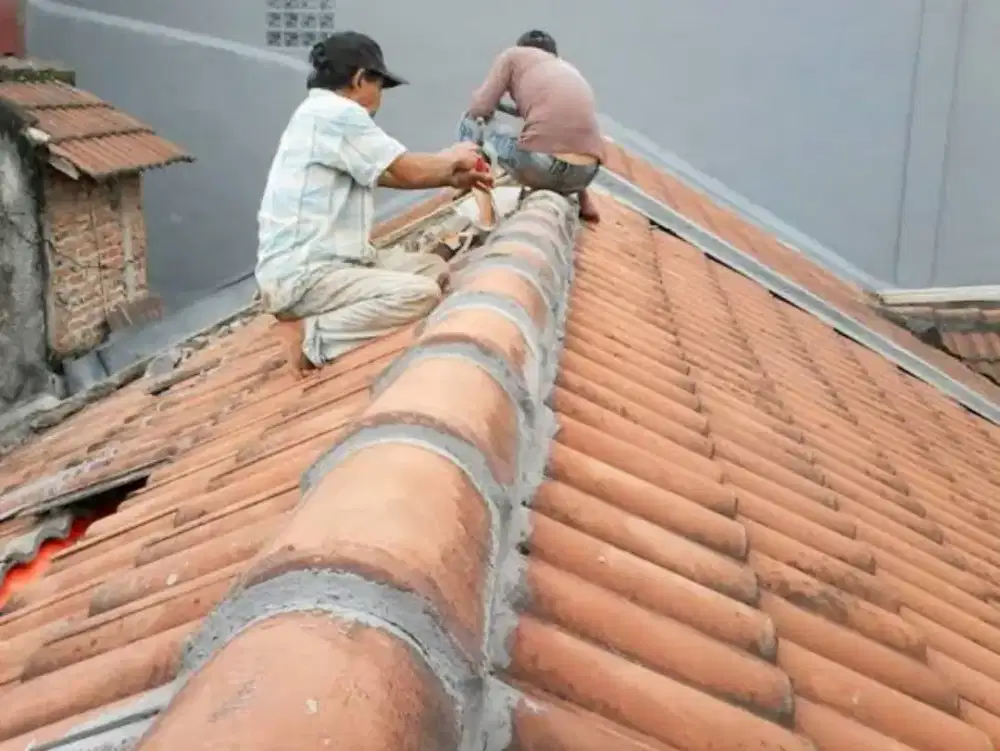 Jasa tukang atap bocor renovasi bangunan cat plitur plapon n lain lain