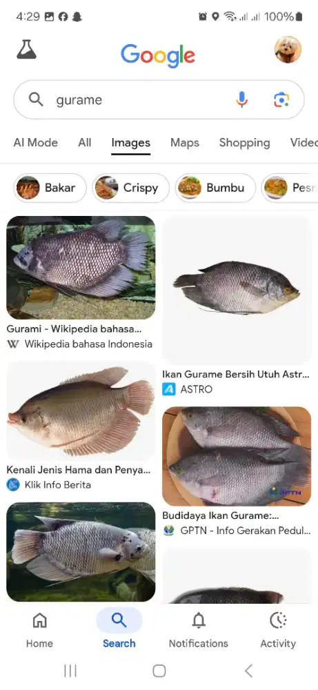 DIBUTUHKAN SEGERA SALES MARKETING