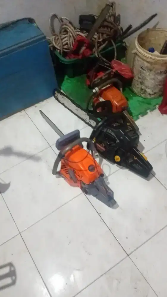 Jasa trbang pohon