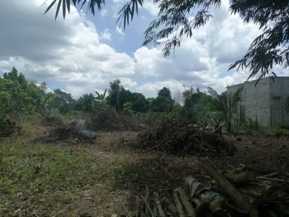 Dicari Tukang kebun