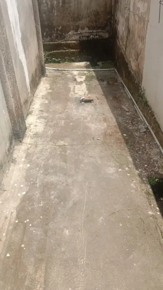 Den clening membatu bersi bersi rumah anda