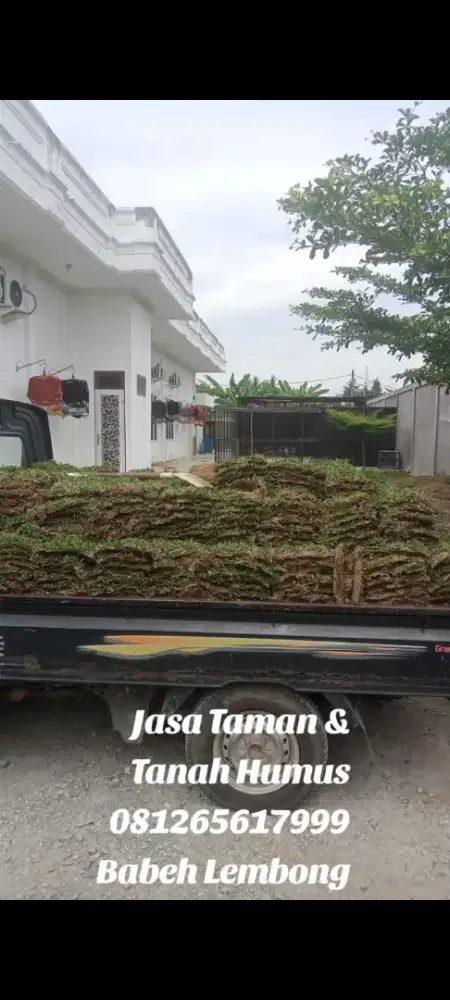 Tukang Taman Baihakki Flower