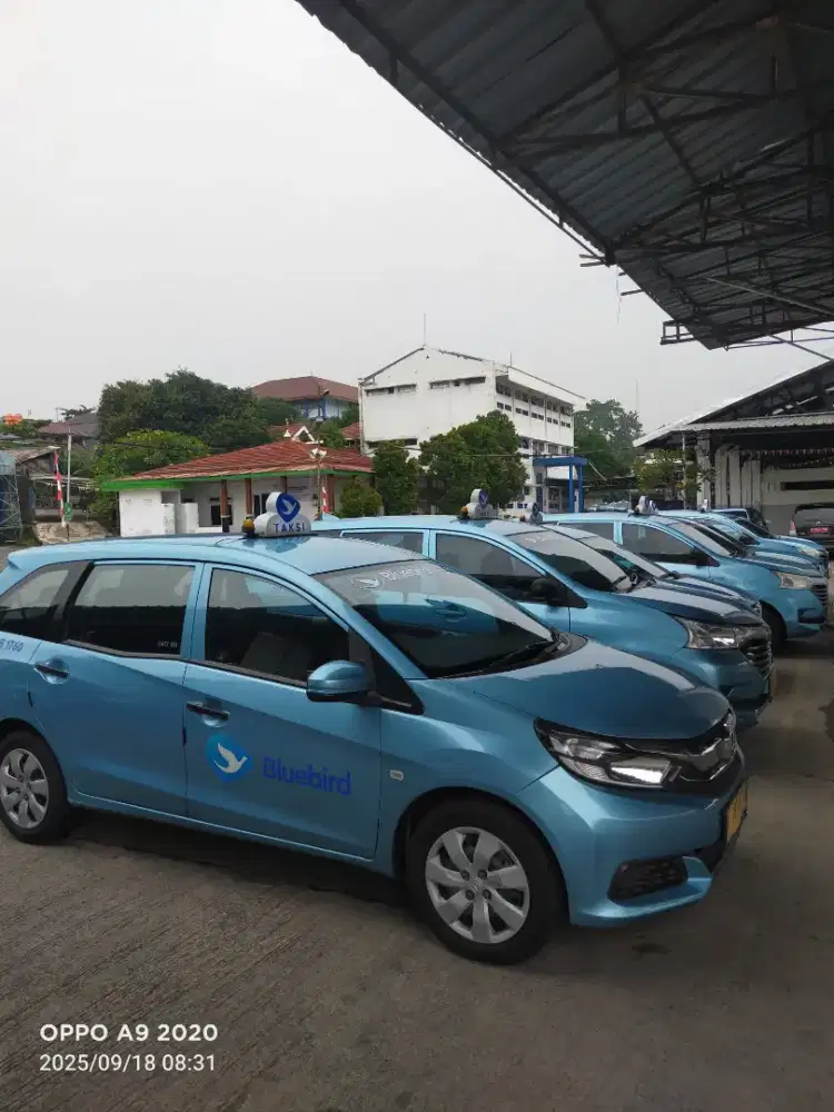 Dibutuhkan segera supir