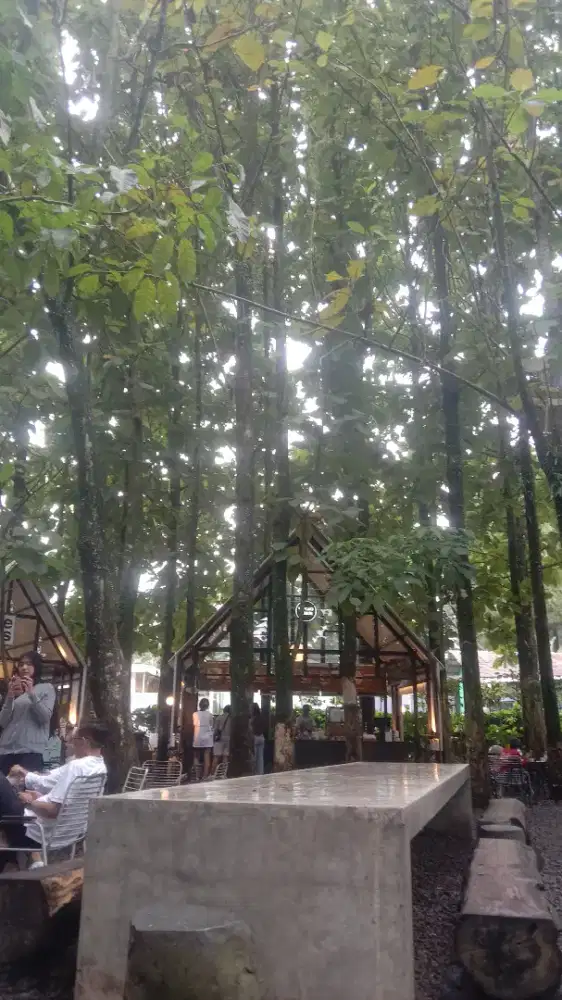 Saya mencari pekerjaan