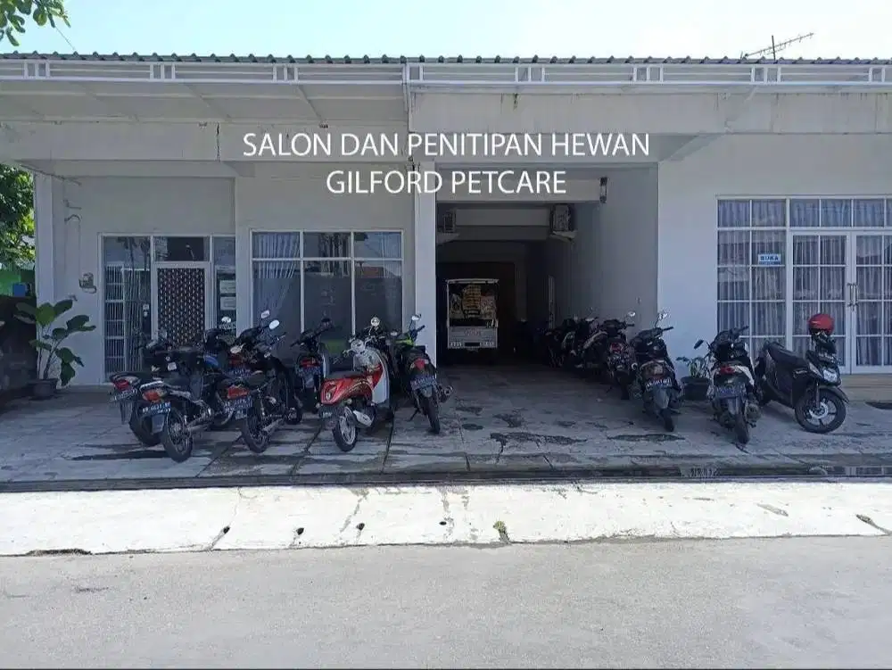 Lowongan groomer mandikan hewan petshop