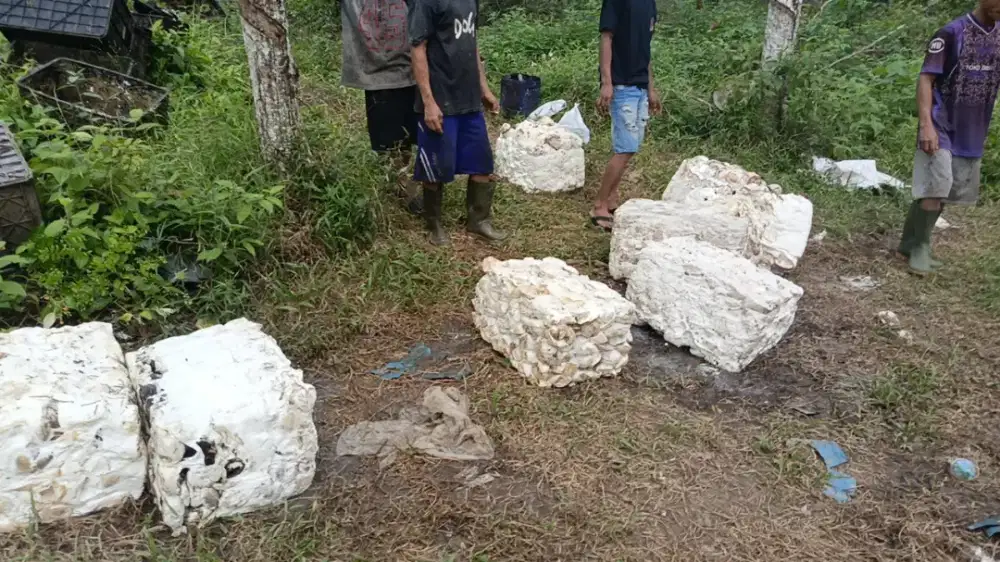Dicari Pemantang Karet yg mau kerja keras dan tahan banting