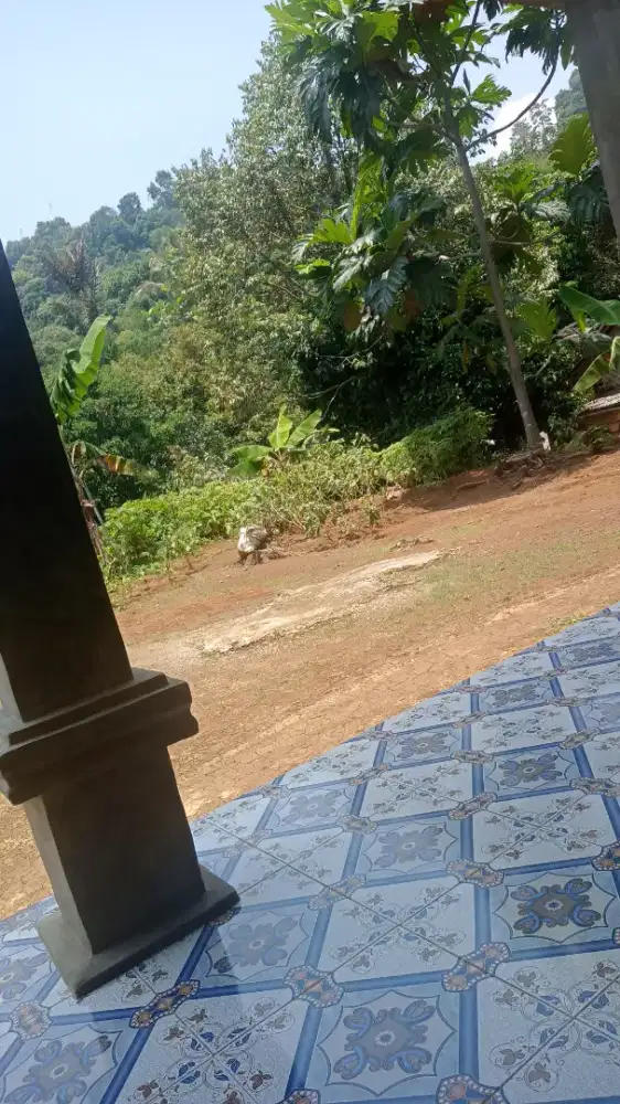 Mencari pekerjaan