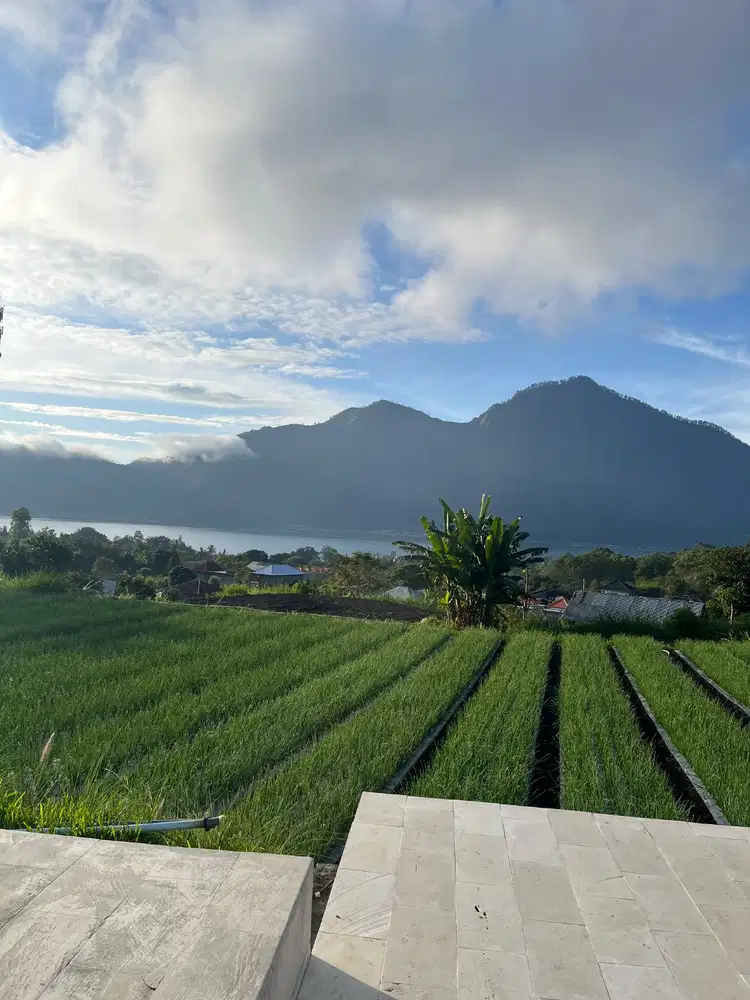 Asisten Rumah tangga