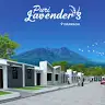 PURI LAVENDER 3