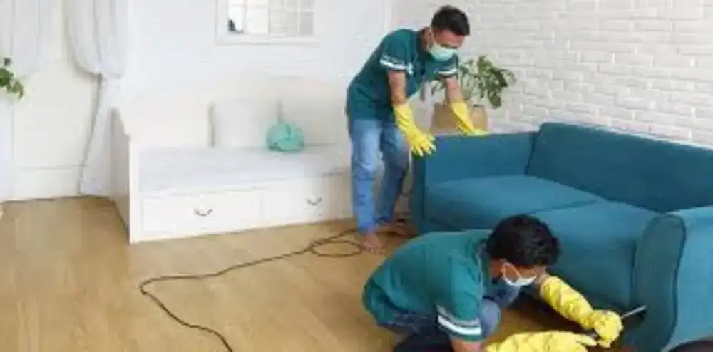 Dibutuhkan segera staff operator cuci sofa dll laundry  nusaloka BSD