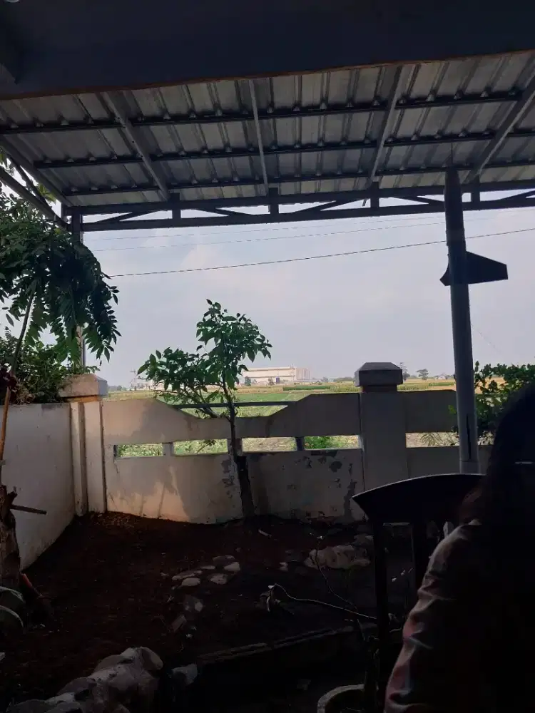 Dicari Sus/Asisten Rawat Orang Tua