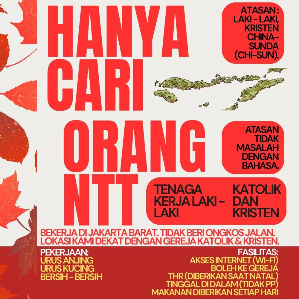 ART LAKI - LAKI NTT