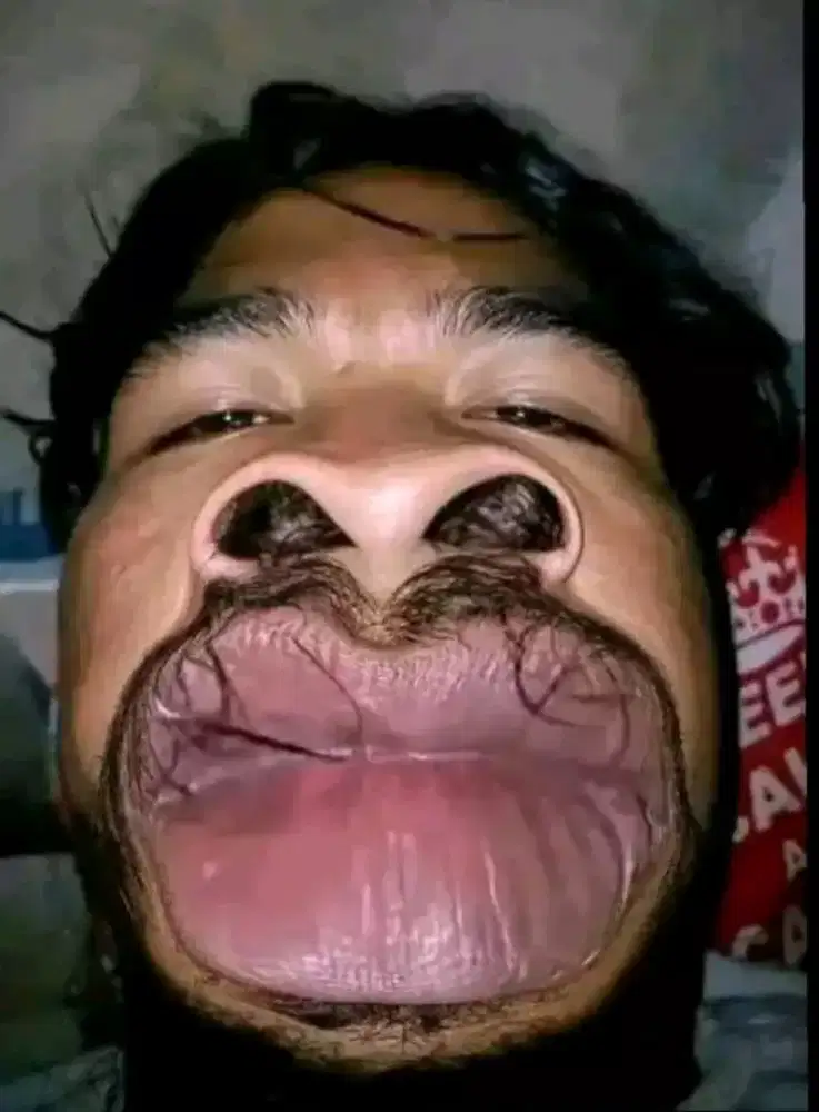 nyari lowongan kerja