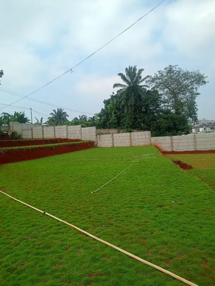 Menjual bermacam jenis rumput
