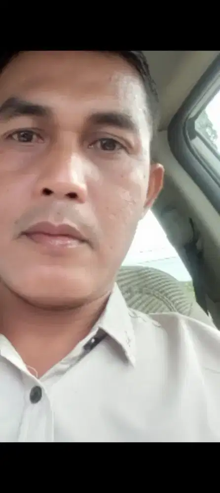 Jasa supir harian