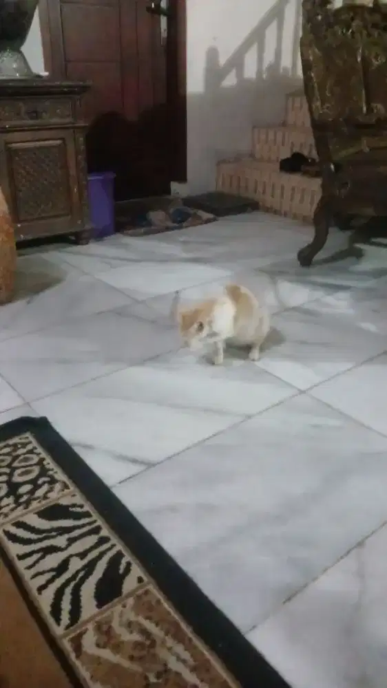 anter jemput sekolah atau dalam dan luar kota