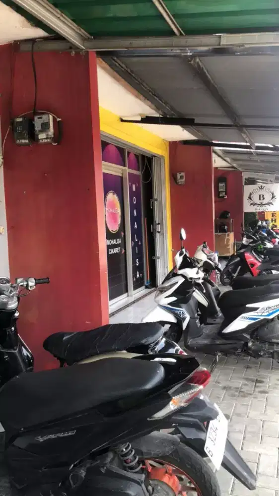 Lowongan Therapist Wanita monalisa