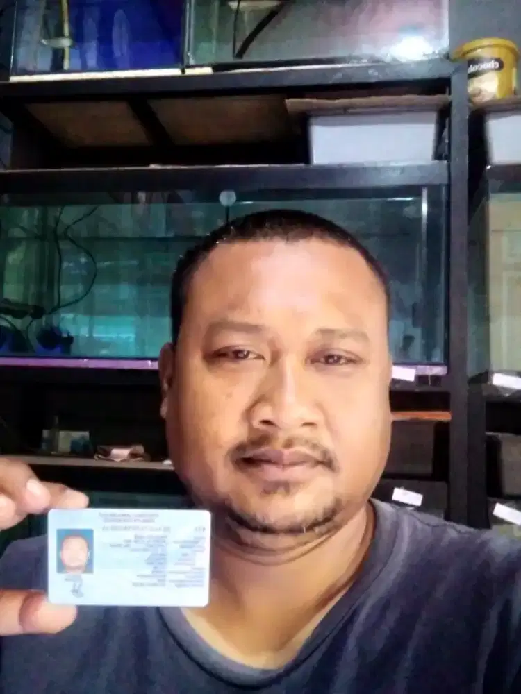 Butuh pekerjaan Driver/apapun