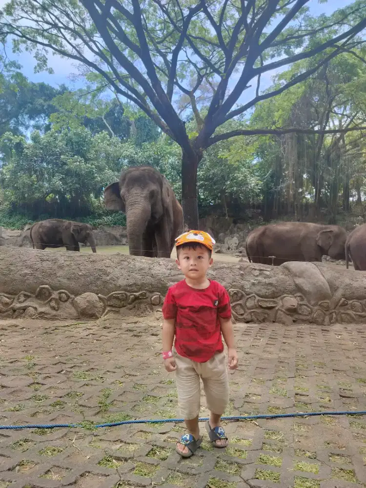DiCari ART ( Diutamakan Menjaga Anak umur 2 tahun keatas)