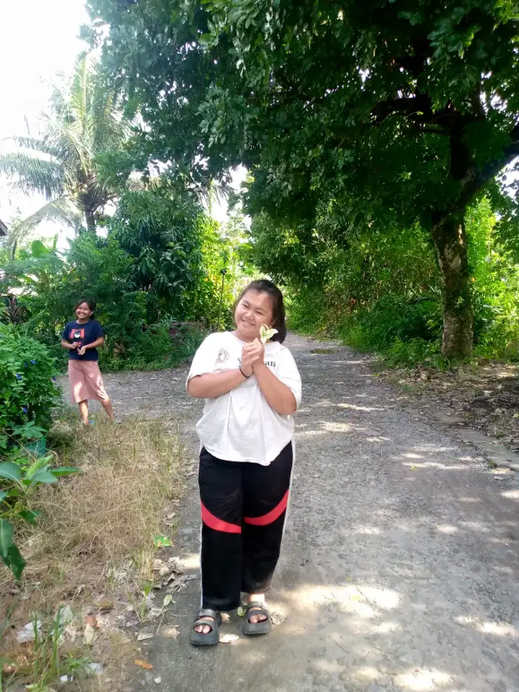 Dwi jelita