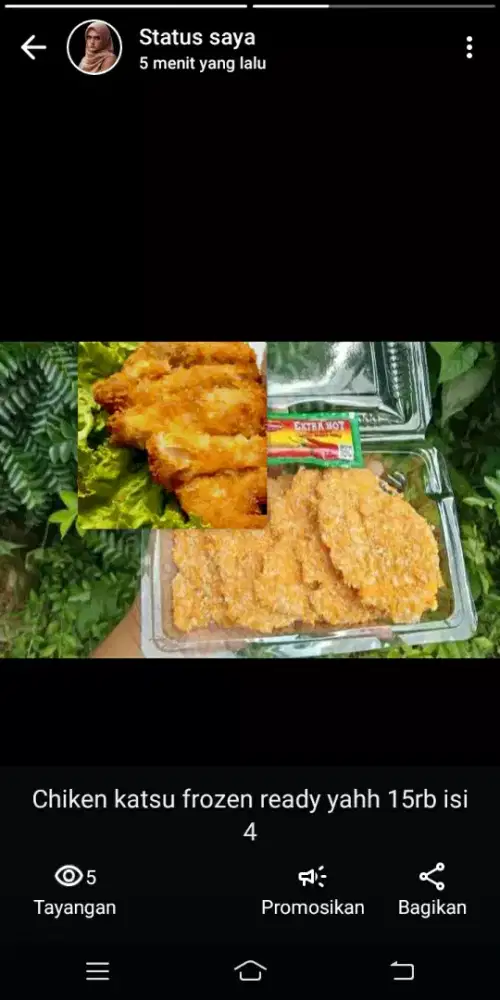 Dicari reseler chiken katsu frozen