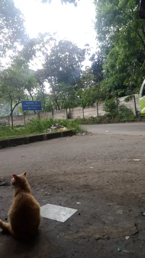 infokan kerjaan buat saya,umur 20