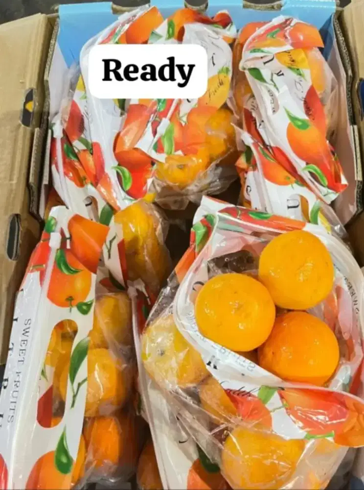 kreasi penjaga buah import