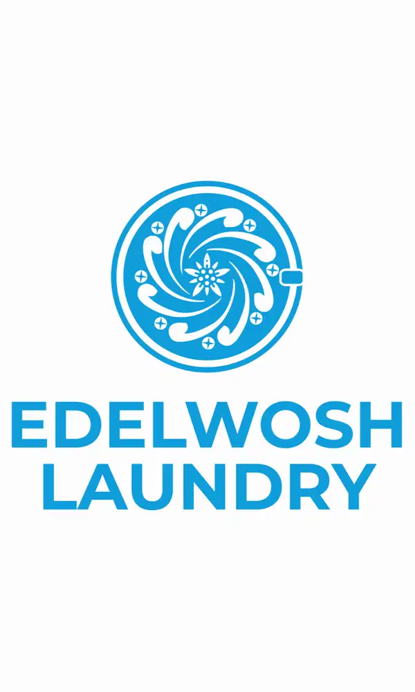 Dibutuhkan Kasir Edelwosh Laundry